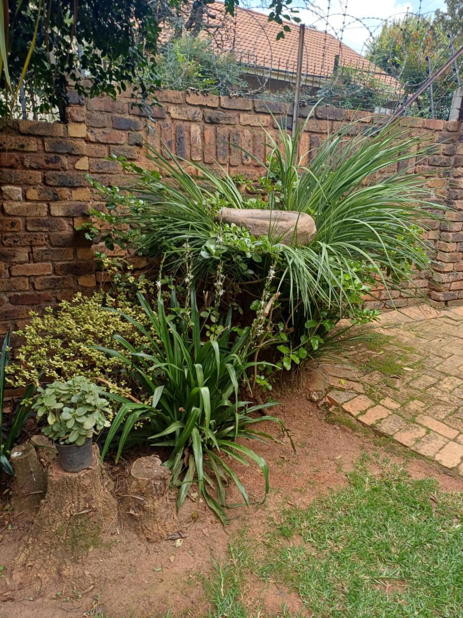 Green Scape Flatlet Pretoria Ngoại thất bức ảnh